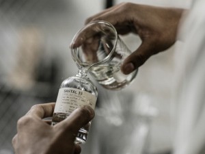 برگاموت ، یاسمن و لاله: عطرهای با طراوت برای تابستان