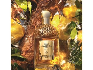 عرضه جدیدترین عطر آکوا الگوریا فورته عود یوزو گرلن به بازار از برند گرلن