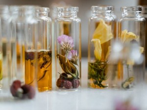 7 خانواده عطر: درک گروه های بویایی