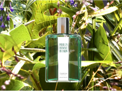 عطر شاه