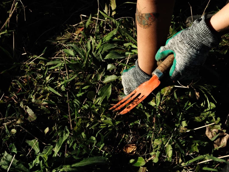 Regenerative Agriculture