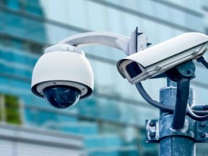 دوربین دام چیست؟ + کاربرد، معایب و مزایا (مطلب)