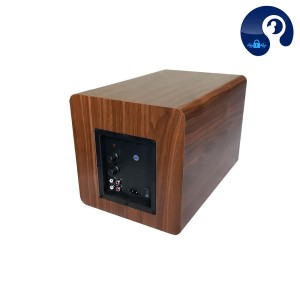 ساب ووفر active  توان 100 وات مدل d6