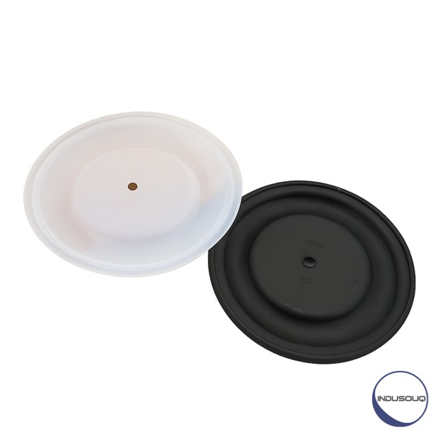 کیت دیافراگم پمپ هاسکی PTFE 2150