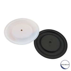 کیت دیافراگم پمپ هاسکی PTFE 2150 - طرح اصلی
