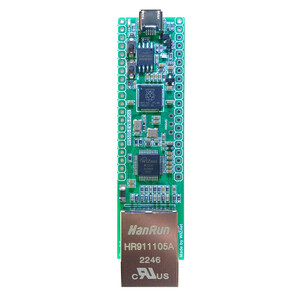 رزبری پای Pico مدل W5500-EVB