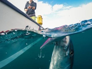 gopro dome [ipahbad (5).jpg
