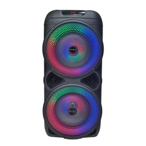 اسپیکر بزرگ GALEXBIT RSD33