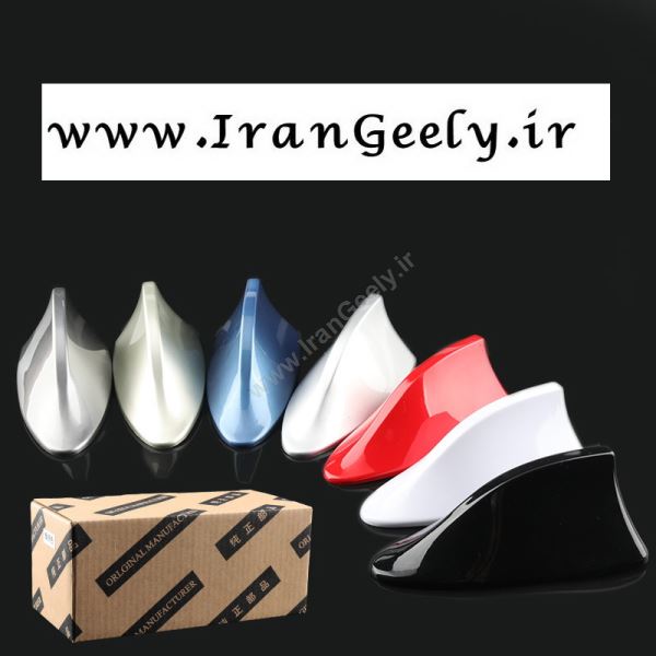 بال کوسه ای  آنتن دار - قیمت ویژه حراجی