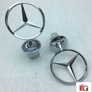 ستاره ایستاده روی کاپوت بنز