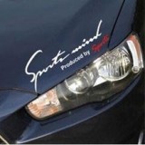 removable-adhesive-pvc-sports-mind-letter-car.jpg_220x220.jpg
