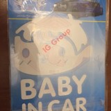 baby on board-16.jpg