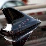 Shark Fin-Decorative,new_1.jpgesign-