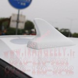 Shark Fin-Decorative,new_design.jpg