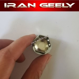 ۲۰ عدد کاور مهره ۱۷ میلیمتری - جدید( قیمت حراجی )