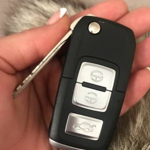 کاور ژله ای و محافظ بسترن B30