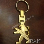 جا کلیدی پژو