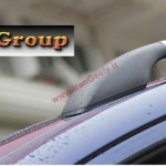 روف ریل  (باربند) جیلی امگرند7 RV