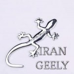 Limited Metal Badge