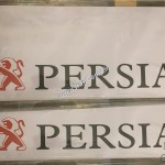یک جفت پارکابی برچسبی Chery