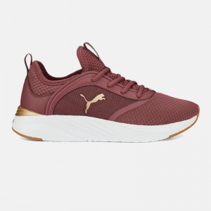 کفش پوما اورجینال مدل سافت راید | Puma Softride Ruby