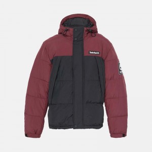 کاپشن پافر مردانه تیمبرلند | Timberland