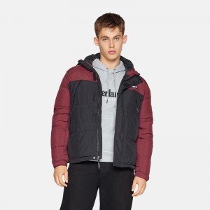 تیشرت مردانه تیمبرلند | Timberland