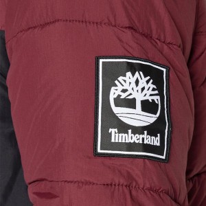 تیشرت مردانه تیمبرلند | Timberland