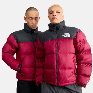 کاپشن مردانه نورس فیس | The North Face