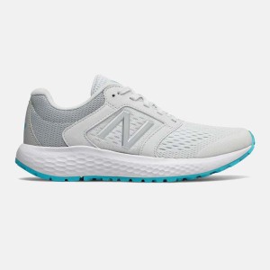 کفش ورزشی زنانه نیوبالانس مدل New Balance Fresh Foam Arishi