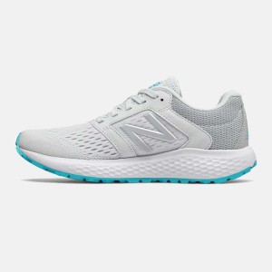 کفش ورزشی زنانه نیوبالانس مدل New Balance Fresh Foam Arishi