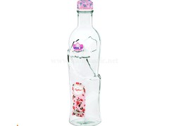 بطری آب شیشه ای راکی