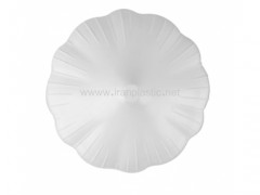 ظرف نگهدارنده سیر مدمان پلاستیک.jpg