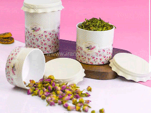 قوطی درب سیلیکونی رزگلد پلاستیک سایز 2