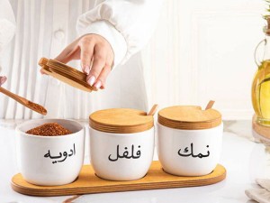 سرویس ادویه سرامیکی دلوین کارولین