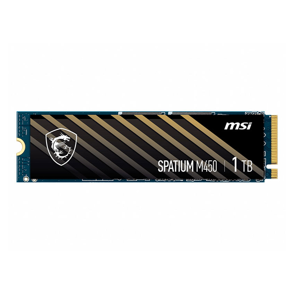 اس اس دی ام اس آی SPATIUM M450 M.2 1TB