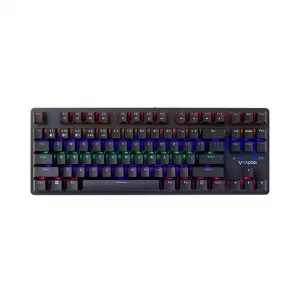 کیبورد مکانیکال باسیم رپو V500 PRO - 87 کلید بدون نامپد
