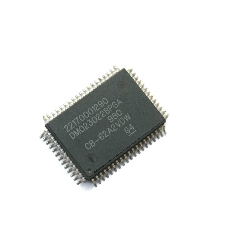 DM023022BPGA