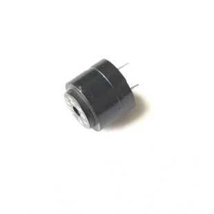 بازر پسیو 5 ولت - BUZZER T591
