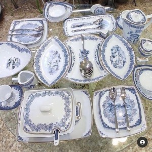 سرویس چینی 105 پارچه پردیس مدل رزگاردن