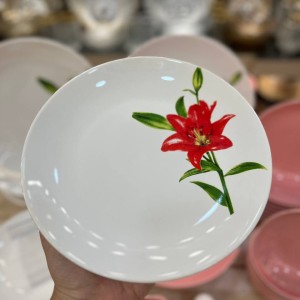 سرویس ۳۰ پارچه شش نفره رنگی