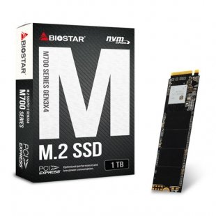اس اس دی اینترنال بایوستار مدل M700 ظرفیت 1 ترابایت