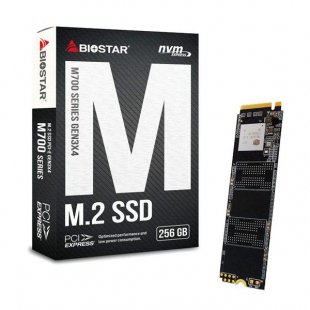اس اس دی اینترنال بایوستار مدل M700 ظرفیت 256 گیگابایت