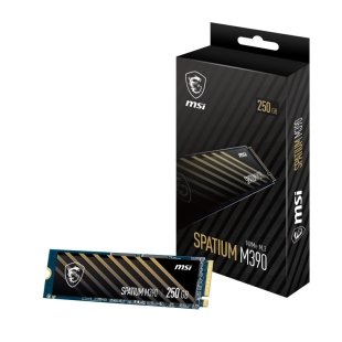 حافظه اس اس دی MSI SPATIUM M390 250GB