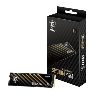 حافظه اس اس دی ام اس ای مدل SPATIUM M461 1TB