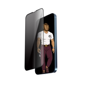 گلس مات پرایوسی گرین لاین Matte Privacy آیفون iPhone 13 Pro