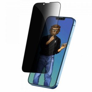 گلس استیو پرایوسی گرین لاین Steve Privacy Anti-PEEPING آیفون iPhone 12 Pro Max