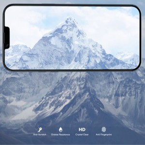 گلس استیو پرایوسی گرین لیون Steve Privacy آیفون iPhone 13/13 Pro