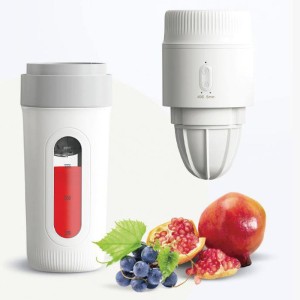 آبمیوه گیری سه کاره گرین لاین Green Lion 3 in 1 Smart Juicer 380mL