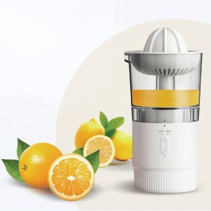 آبمیوه گیری سه کاره گرین لاین Green Lion 3 in 1 Smart Juicer 380mL